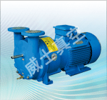 SZ系列水环式真空泵