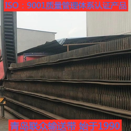 尼龙NN200输送带