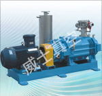 LG系列螺杆真空泵