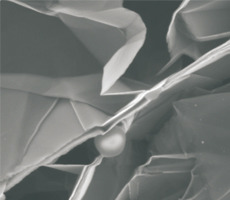 膨胀石墨蠕虫细粉