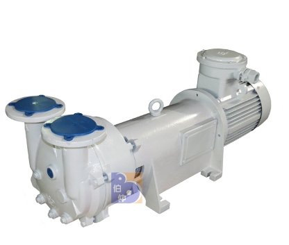 2BV6121水环真空泵