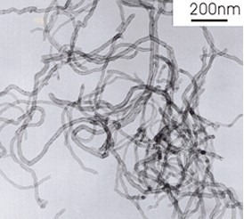 羟基化短碳纳米管