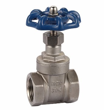 DN20不锈内螺纹闸阀