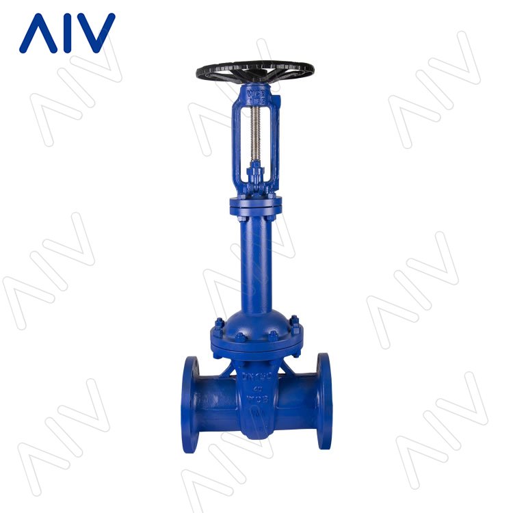 德标波纹管闸阀