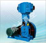 WLW系列无油立式真空泵