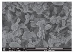 六角片氢氧化镁