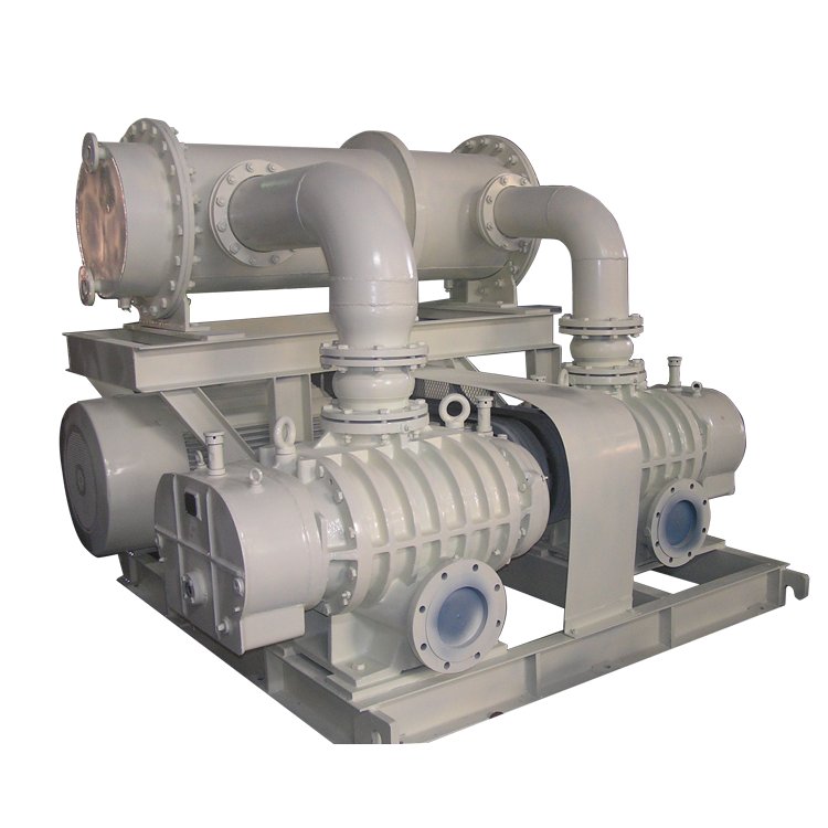 特殊用途罗茨鼓风机