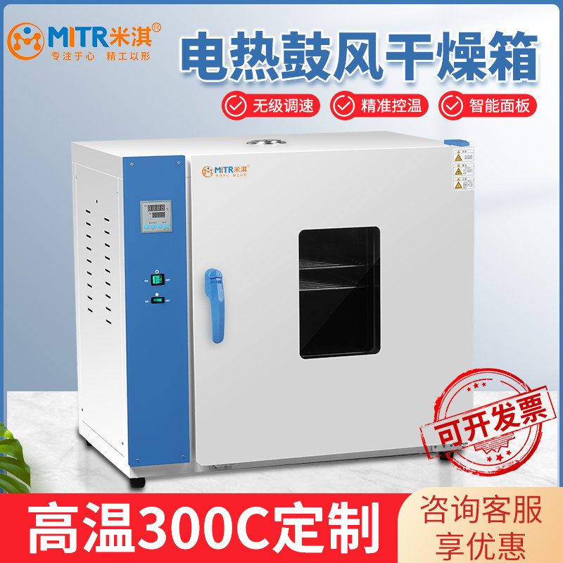 电热鼓风干燥箱
