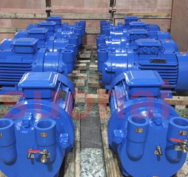 SK系列水环式真空泵