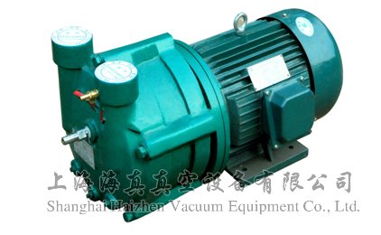 SZ型单级水环真空泵
