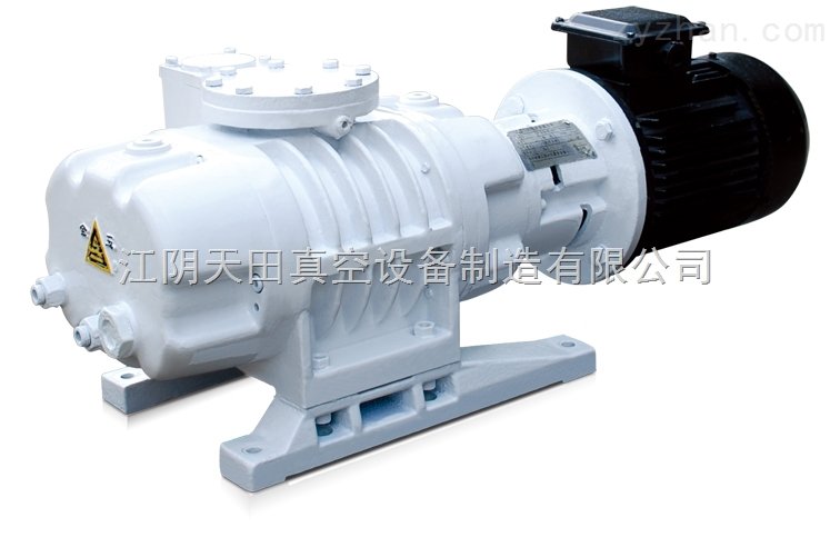 ZJP型罗茨真空泵