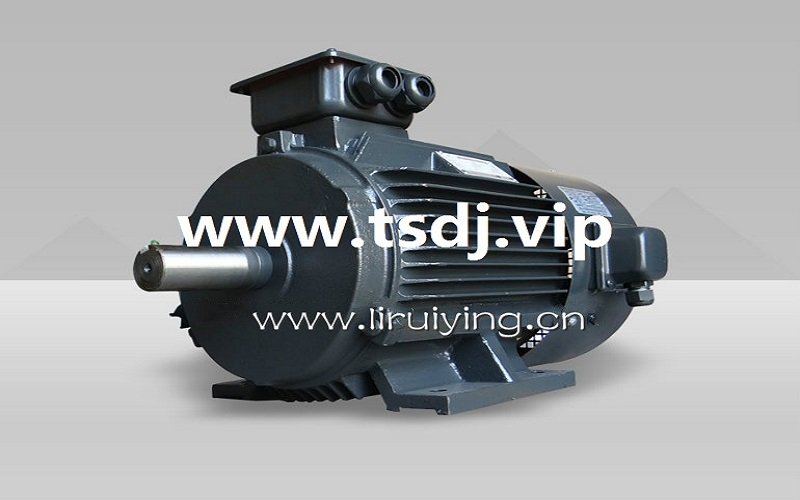 YVP系列变频调速电机