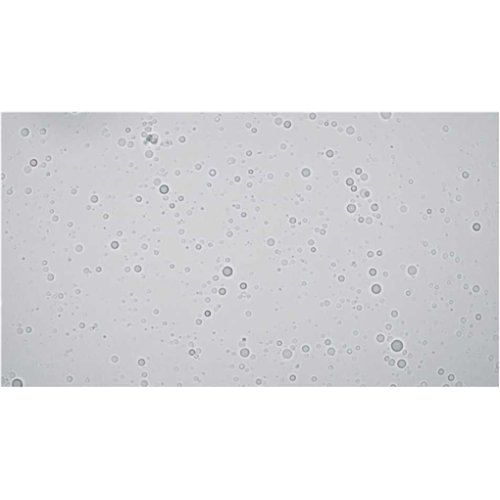 有机硅弹性体硅凝胶