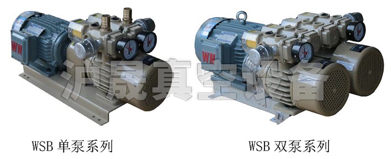 WSB无油旋片真空泵
