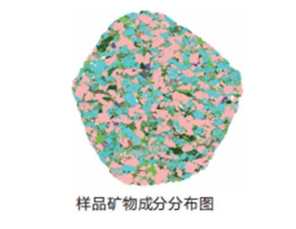 AMICS-Oil&Gas矿物特征自动定量分析系统