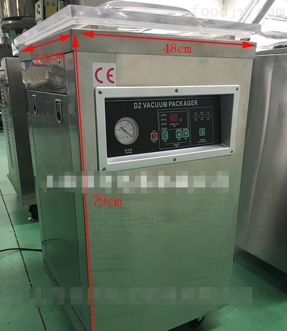 大枣单室真空包装机