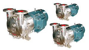 直联水环式真空泵