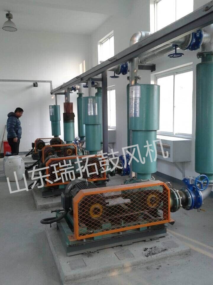 山东罗茨蒸汽压缩机包邮