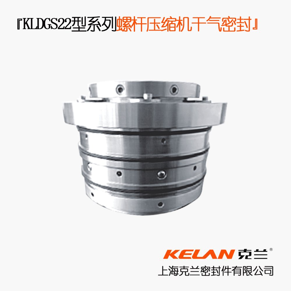 KLDGS22型系列螺杆压缩机干气密封