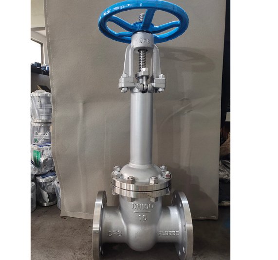 DZ41W-16P DN100低温闸阀