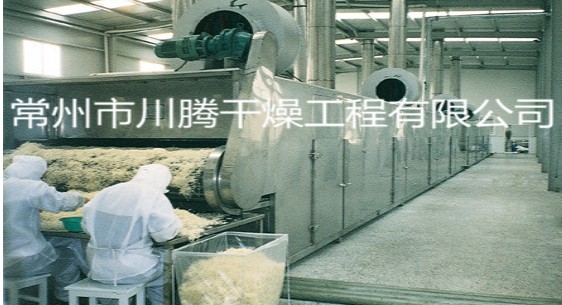 DWT系列脱水蔬菜干燥机