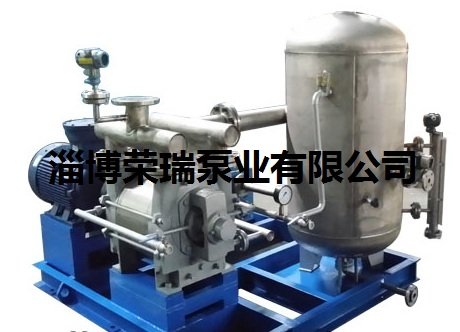 耐腐蚀水环真空泵