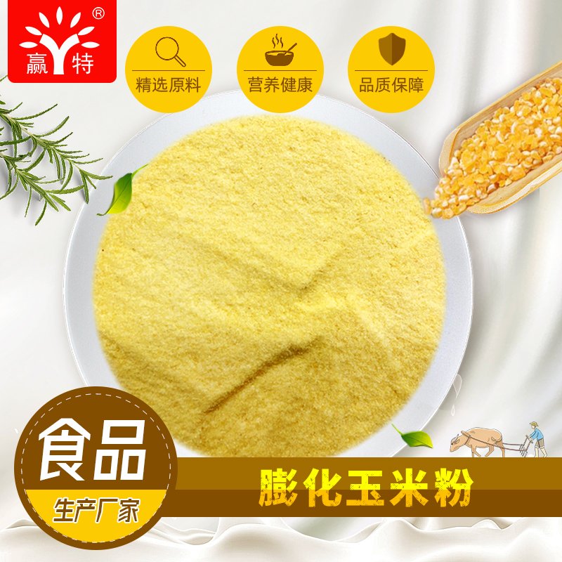 双螺杆挤压膨化玉米粉 熟玉米粉 食品级