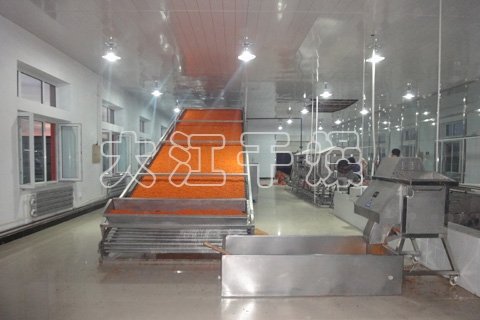 DWT网带式脱水蔬菜干燥机