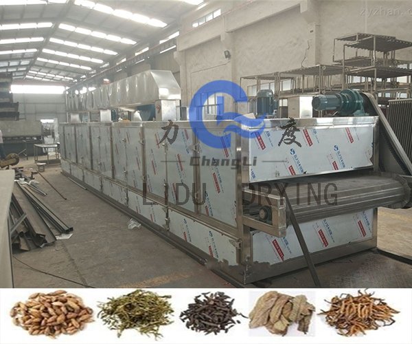 瓜子专用网带干燥机