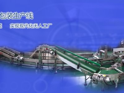无人化自动包装流水线