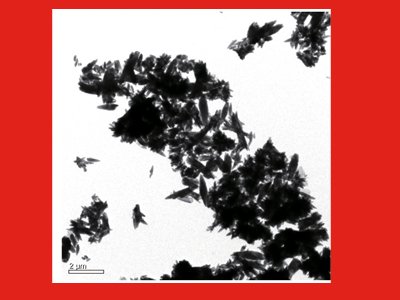 超细活性碳酸钙YX-505