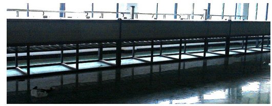 单层网带式干燥机