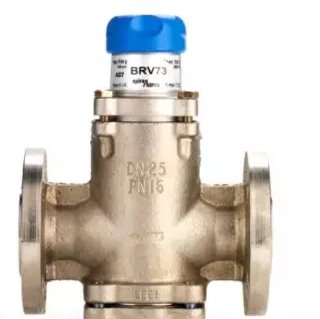 BRV73直接式减压阀
