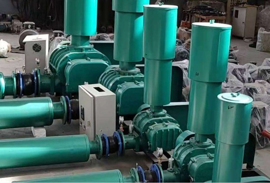 SR系列-100型三叶罗茨鼓风机