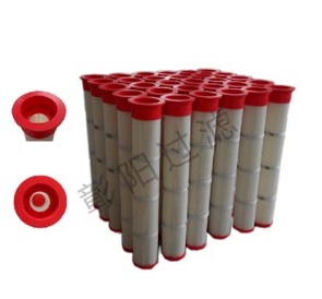 上装式带法兰滤筒