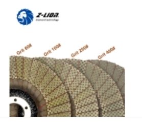 ZL-WMC66 金刚石百叶轮（红布网状）