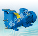 2BV系列水环式真空泵及压缩机