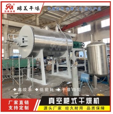 真空耙式干燥机
