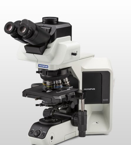 BX53(LED) 显微镜系统