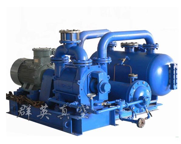 2BW1机组真空泵