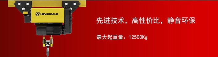 M型 电动单轨式环链葫芦