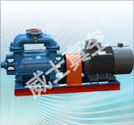 2BE系列水环式真空泵