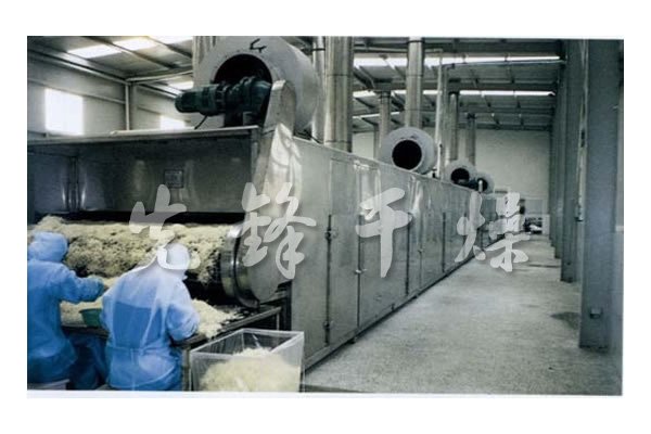 DWC系列脱水蔬菜带式干燥机