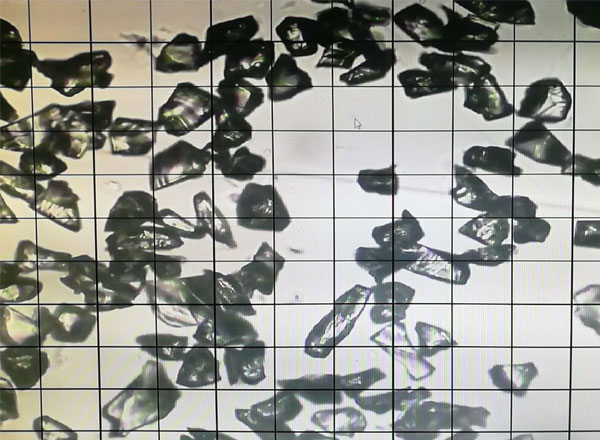 绿碳化硅微粉 1200#颗粒形状