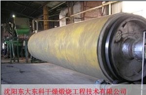 滚筒刮板干燥机