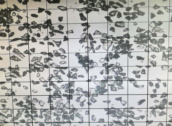 绿碳化硅微粉 6000#颗粒形状