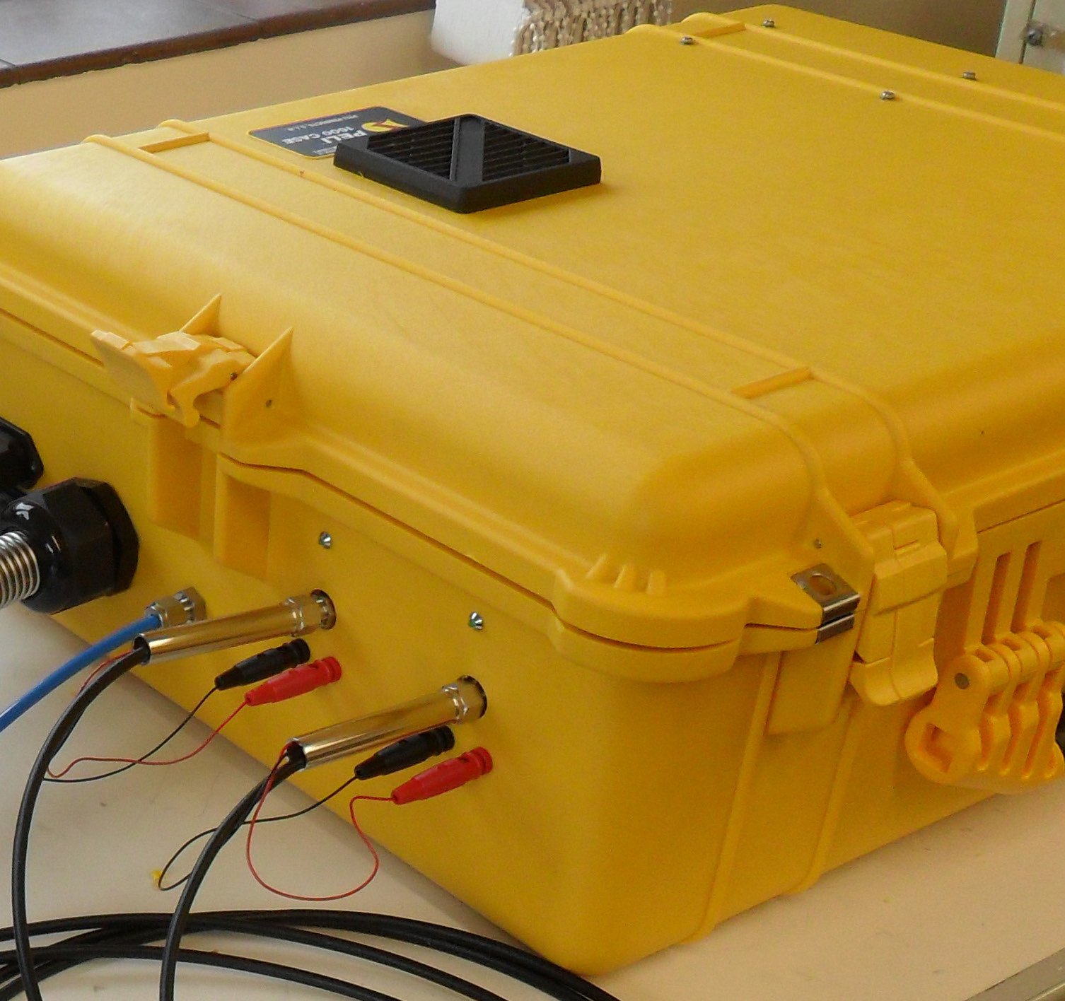 ESS EcoCAT-P便携式质谱仪