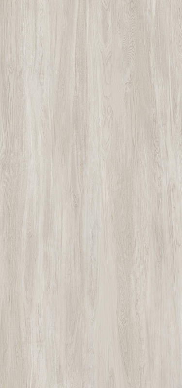 意大利石松 Stone pine Italy