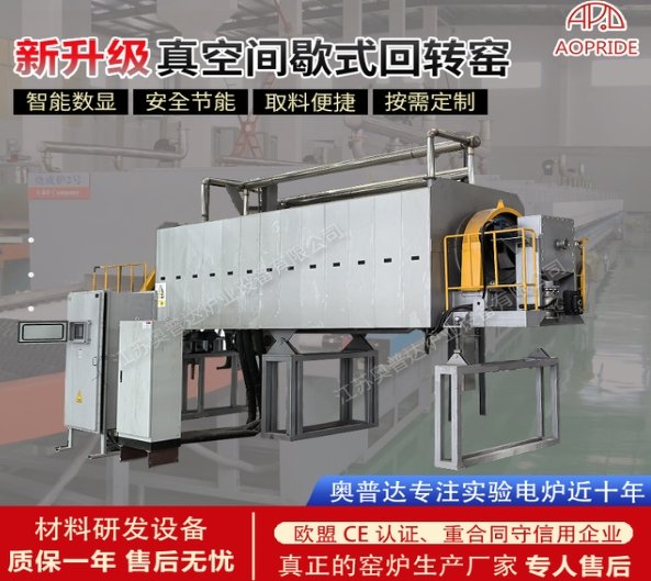 真空间歇式回转窑.