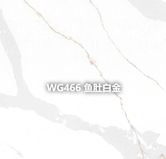WG466 鱼肚白金